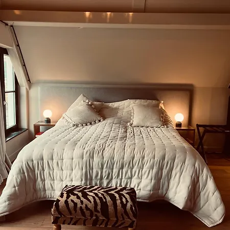 ベッド・アンド・ブレックファスト Townhouse 't Raap